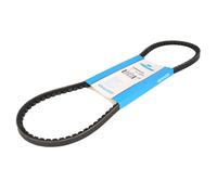 Correa poly V DAYCO 10A0925C