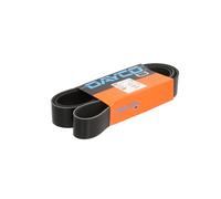 Correa poly V DAYCO 10PK1570HD