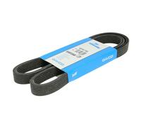 Correa poly V DAYCO 6DPK1195