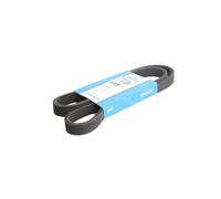 Correa poly V DAYCO 6DPK1215