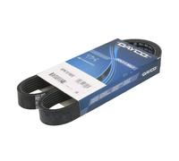 Correa poly V DAYCO 6PK1019EE