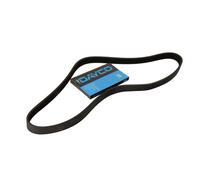 Correa poly V DAYCO 6PK1230