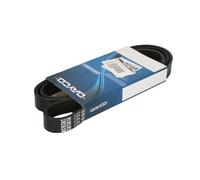 Correa poly V DAYCO 6PK1500