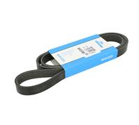 Correa trapezoidal acanalada 6PK1685 DAYCO para FORD TOURNEO CUSTOM V362 Autobús