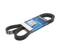 Correa poly V DAYCO 6PK2074S