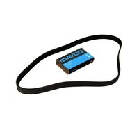 Dayco Correa Poly-V 7PK1275 - Trapezoidal nervada para Nissan Navara, Pathfinder, Cabstar