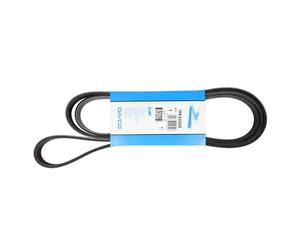 Correa poly V DAYCO 7PK2035S