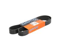 Correa trapezoidal acanalada 8PK1255HD DAYCO para SCANIA 4 - series