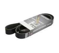 Correa poly V DAYCO 8PK1660HD