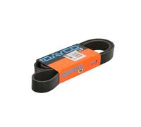 Correa poly V DAYCO 8PK1685HD