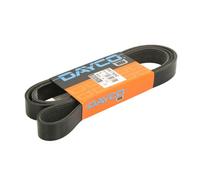 Correa poly V DAYCO 8PK1790HD