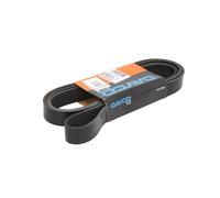 Correa poly V DAYCO 8PK2550HD