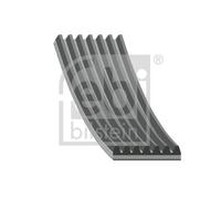 Correa poly V FEBI BILSTEIN 174115