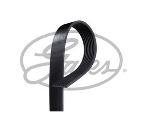 Correa poly V FleetRunner Micro-V GATES 8PK1655HD