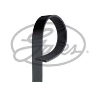 Correa poly V FleetRunner Micro-V GATES 9PK1930HD
