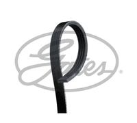 Correa poly V FleetRunner Micro-V Stretch Fit GATES 4PK1041SFHD