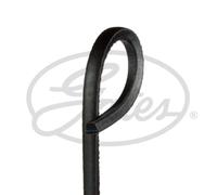 Correa poly V FleetRunner V-Belt GATES AV17X1375HD