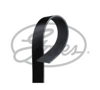 Correa poly V GATES 10PK1605HD