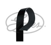 Correa poly V GATES 12PK1890HD
