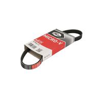 Correa poly V GATES 4PK613