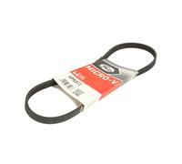 Correa poly V GATES 4PK813