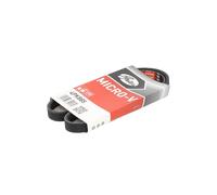 Correa poly V GATES 4PK885