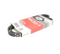 Correa poly V GATES 4PK905