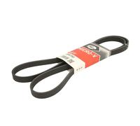 Distribución y Accesorios > Correa trapezoidal > Correa trapezoidal nervada