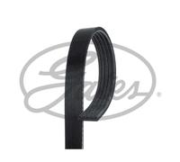 Correa poly V GATES 5PK875