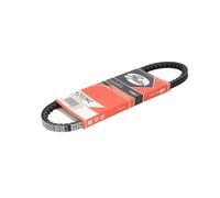 Correa poly V GATES 6202MC