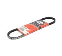 Correa poly V GATES 6205MC