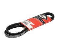 Correa poly V GATES 6231MC