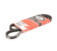 Correa poly V GATES 6267MC