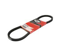 Correa poly V GATES 6463MC
