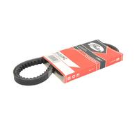 Correa poly V GATES 6466MC