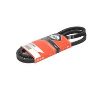 Gates – Correa Poly V 6481MC – Trapezoidal nervada para Ford, Nissan y Volkswagen