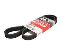 Correa poly V GATES 6DPK1195