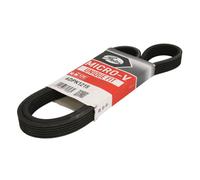 Correa poly V GATES 6DPK1215