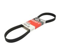 Correa poly V GATES 6PK1000