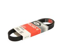 Correa poly V GATES 6PK1010