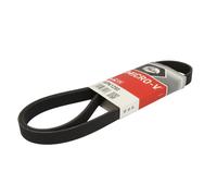 Correa poly V GATES 6PK1250