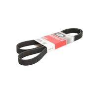 Correa poly V GATES 6PK1513