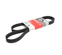 Correa poly V GATES 6PK1520