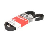 Correa poly V GATES 6PK1560