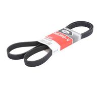 Correa poly V GATES 6PK1600