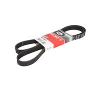 Correa poly V GATES 6PK1605