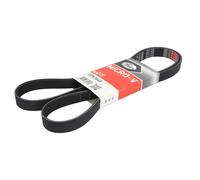 GATES Correa trapezoidal nervada para BMW: SÃ©rie 3, SÃ©rie 1, Z4 & RENAULT: MÃ©gane ScÃ©nic, MÃ©gane, Laguna, MÃ©gane Classic, Espace (Ref: 6PK1640)