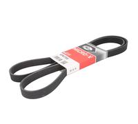 Correa poly V GATES 6PK1700