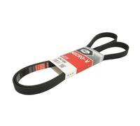 Correa poly V GATES 6PK1880