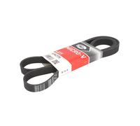 Correa poly V GATES 6PK2175